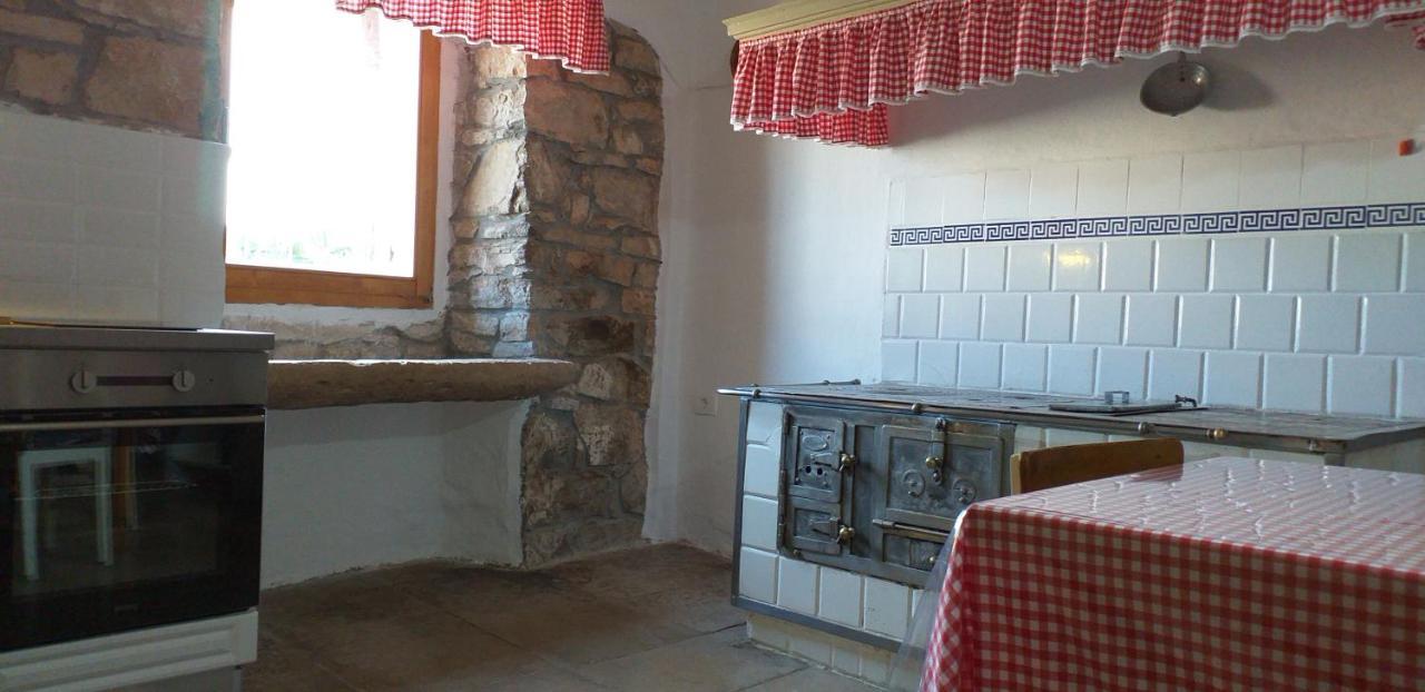 Rural Apartment Carolina Zrenj Dış mekan fotoğraf