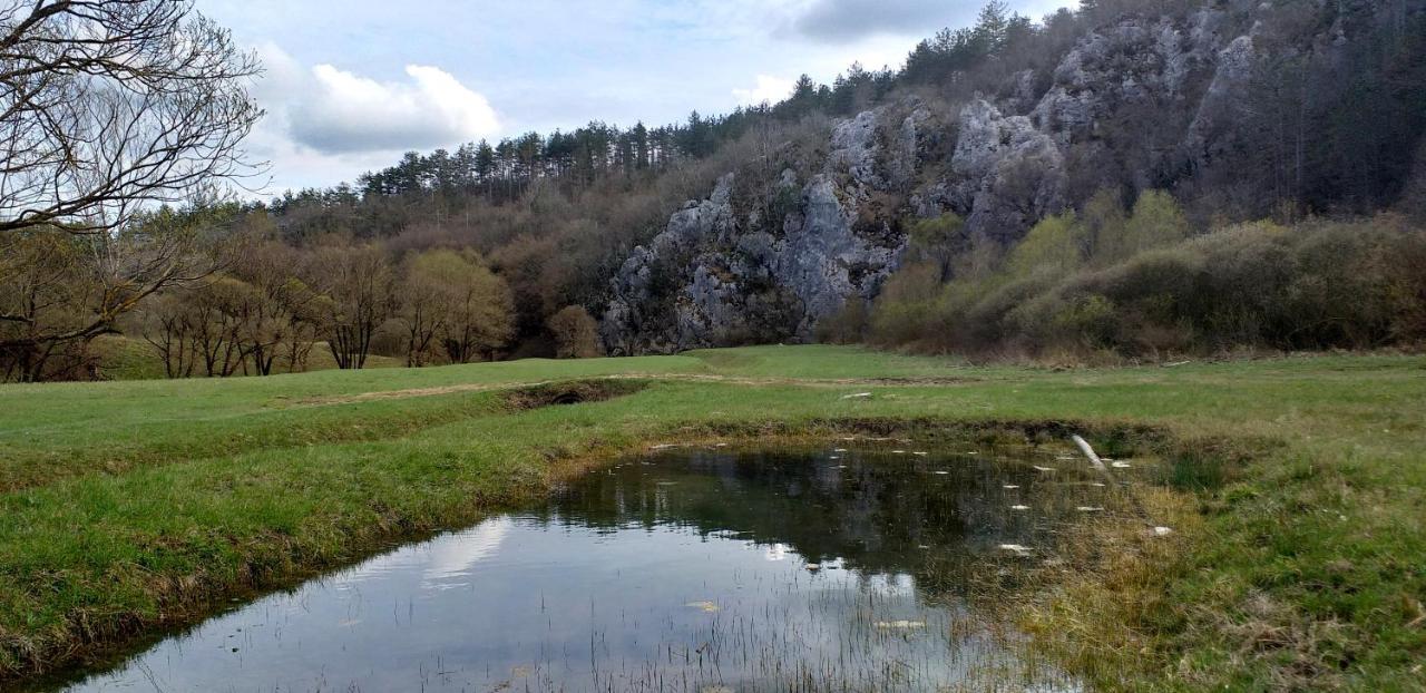 Rural Apartment Carolina Zrenj Dış mekan fotoğraf