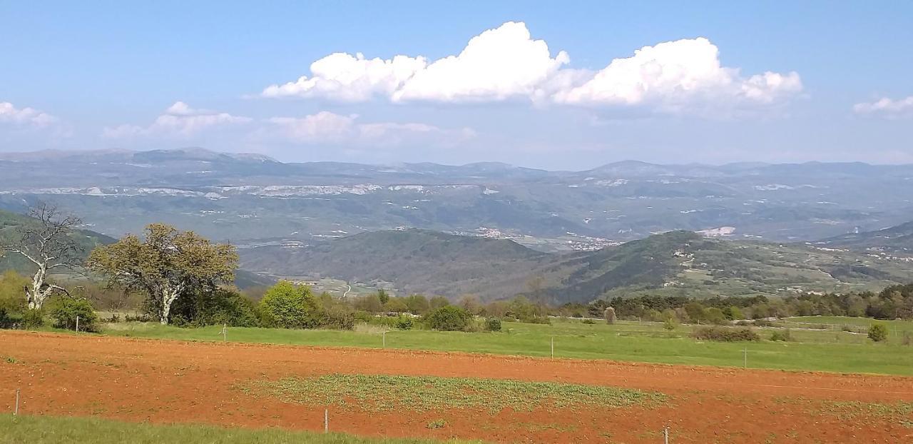 Rural Apartment Carolina Zrenj Dış mekan fotoğraf