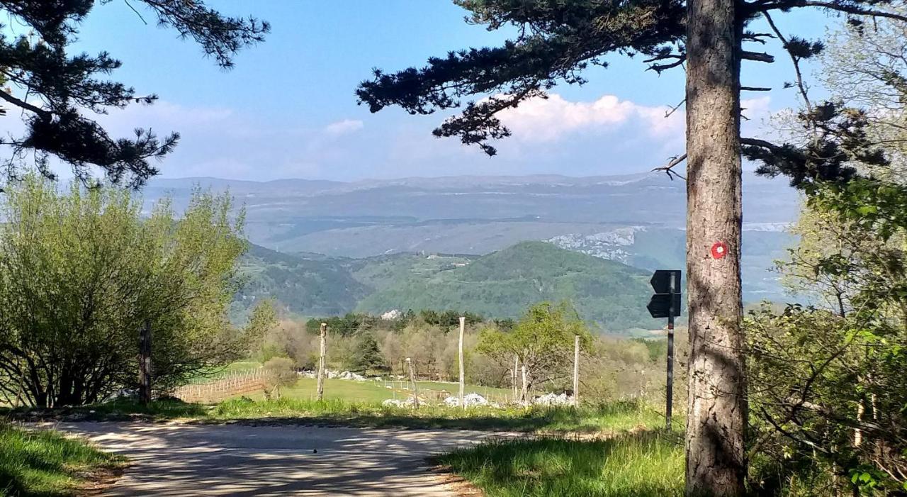 Rural Apartment Carolina Zrenj Dış mekan fotoğraf