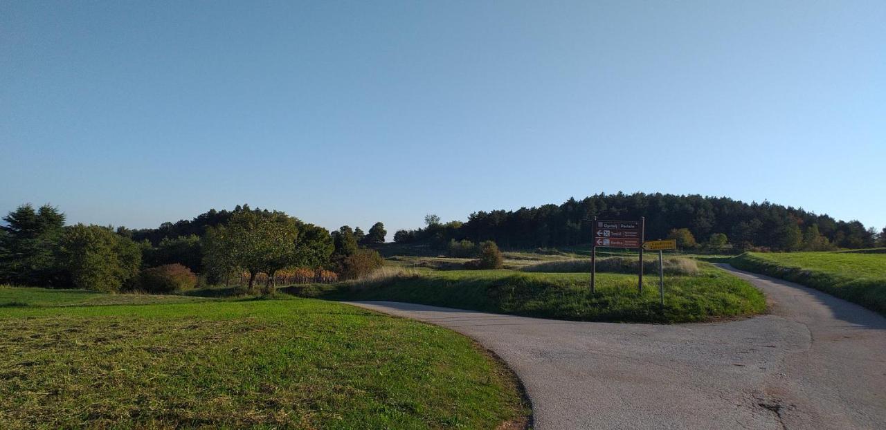 Rural Apartment Carolina Zrenj Dış mekan fotoğraf