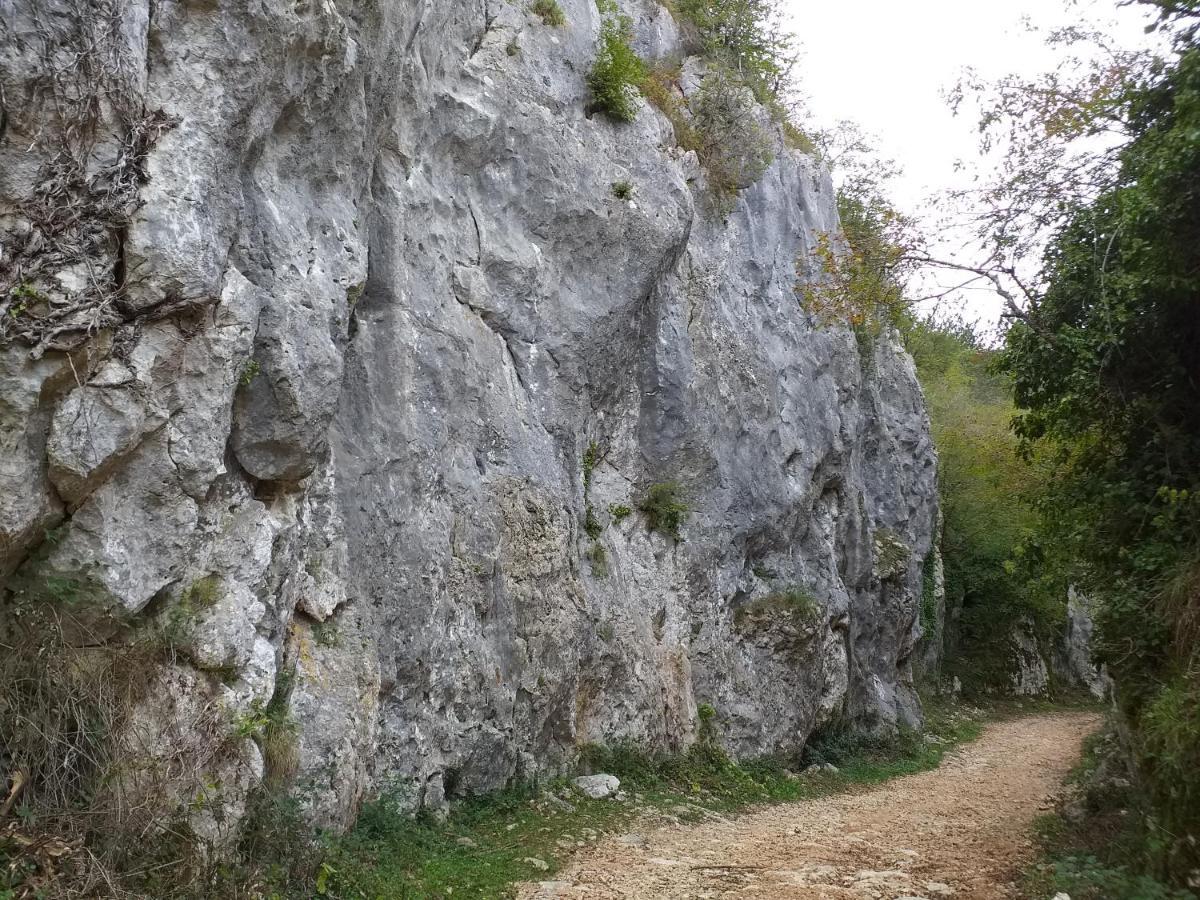 Rural Apartment Carolina Zrenj Dış mekan fotoğraf